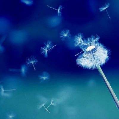 Kaiyun·体育(全站)登陆入口官方网站登录入口